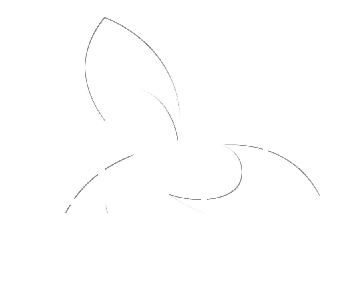DWF Communication